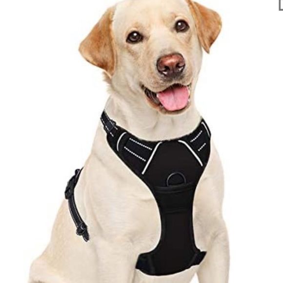 barkbay Dog Brand New Barkbay No Pull Dog Harness Set M And L